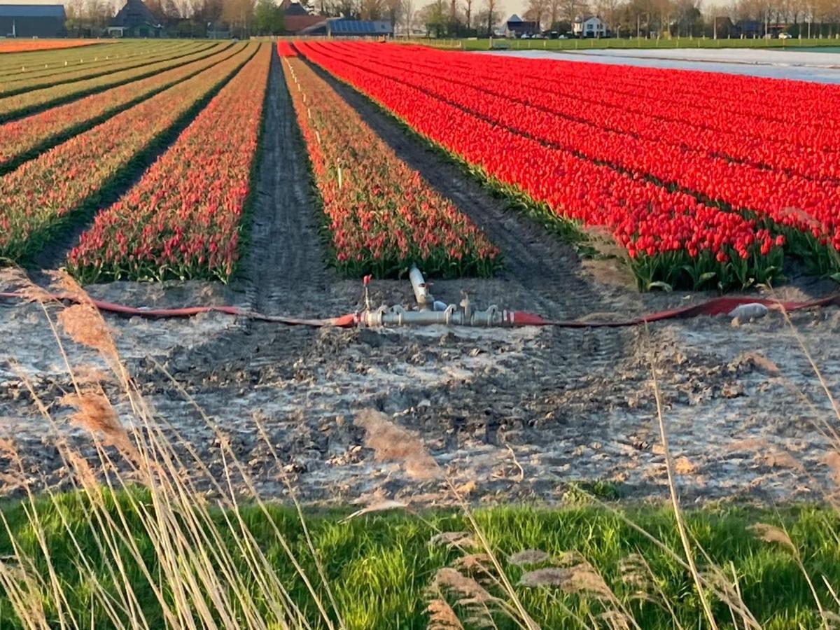 De Zuiderstolp Bed & Breakfast Zuidermeer ภายนอก รูปภาพ